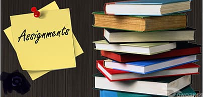 Assignment solving-حل الواجبات