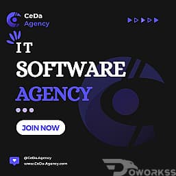 website development