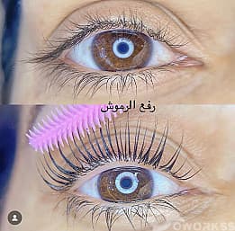eyelashes extensions course and lash lifting