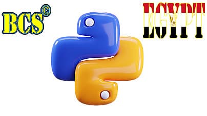 Online Training course on Python fundamental & Data analysis principals